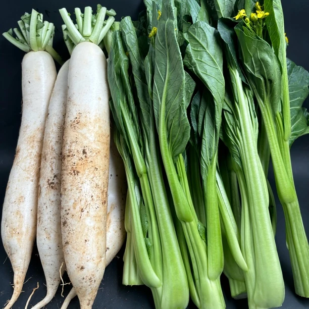 连州菜心+高山黄泥白萝卜10斤混合装粤北山区优质蔬菜