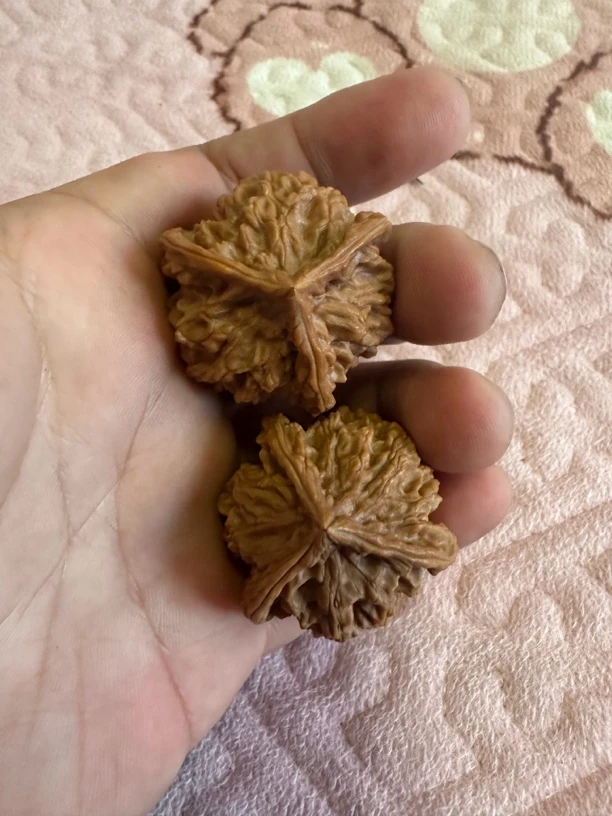 文玩核桃，盘山三棱