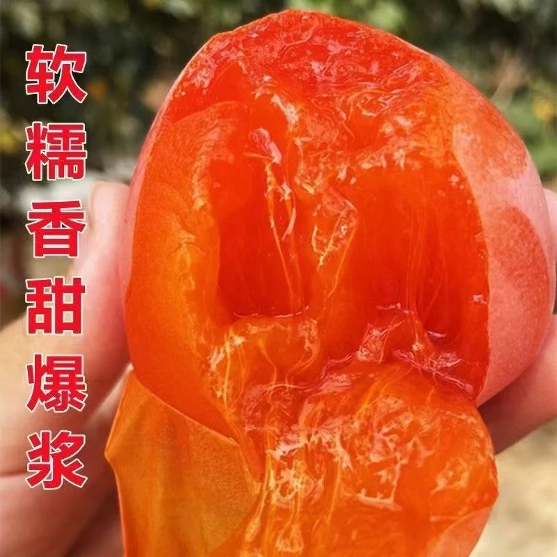 富平尖柿子,软糯香甜.果肉橙色,味极甜鲜,营养丰富