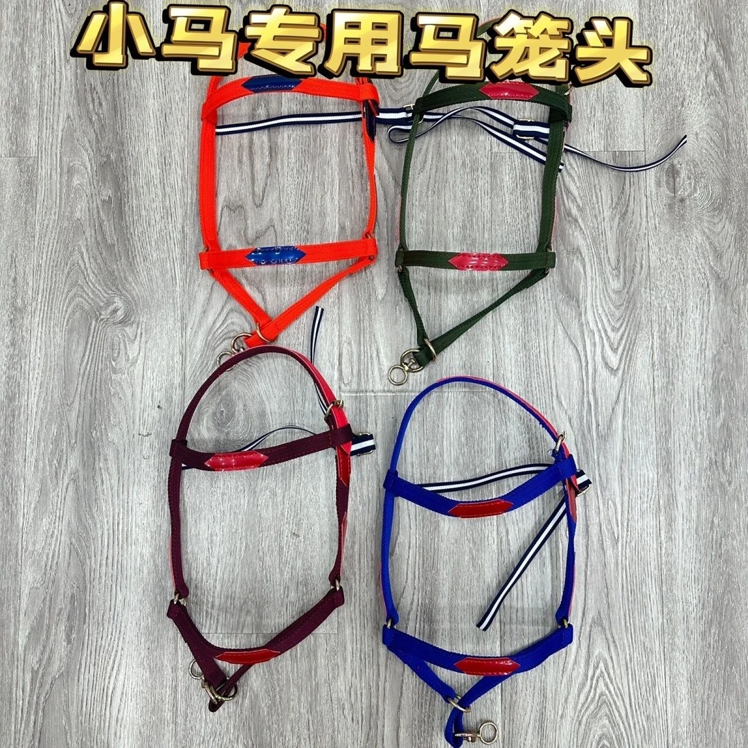 小马专用马笼头小号马笼头矮马笼头德保马笼头小马马具