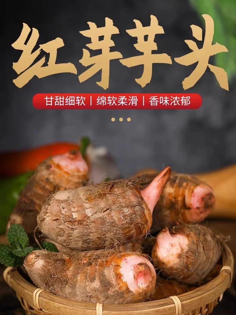 【粉丝福利】江西上饶红芽奶香芋头新鲜芋头现采现挖1-10斤