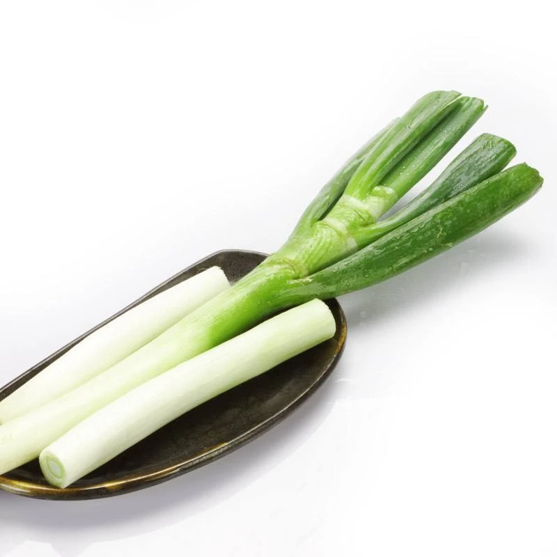 大葱一根100g/根【同城配送】