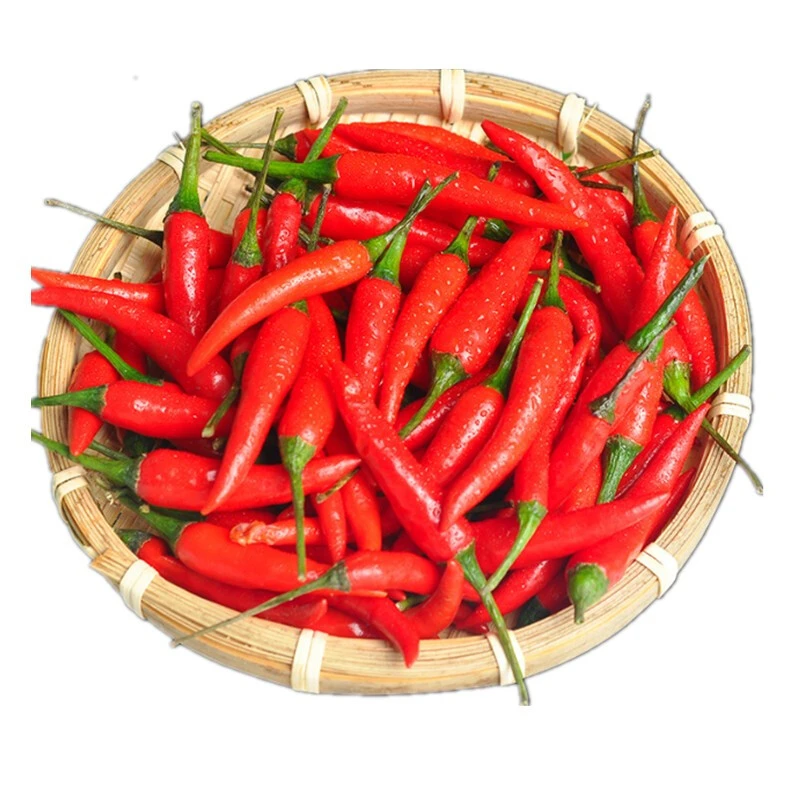 朝天椒约50g/份【同城配送】