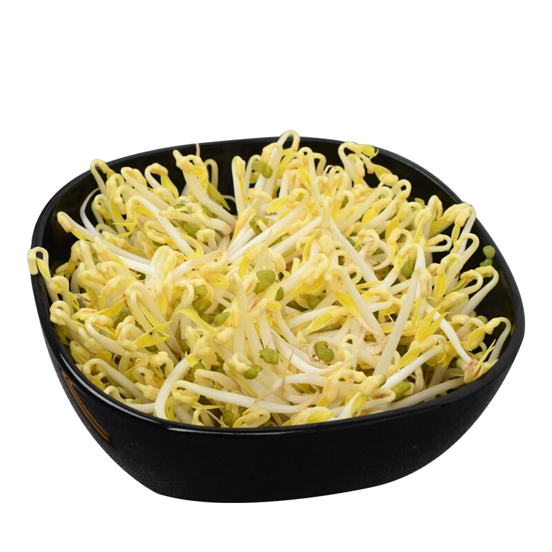 绿豆芽约250g/份【同城配送】