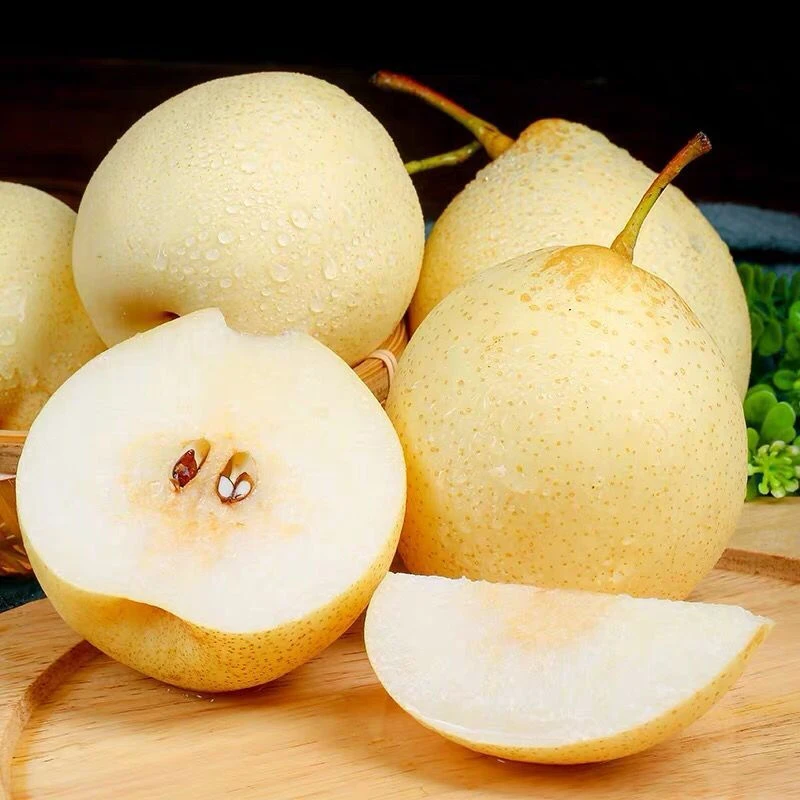 水晶梨 鸭梨约500g/份