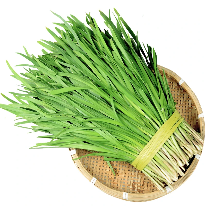 韭菜约500g/份【同城配送】