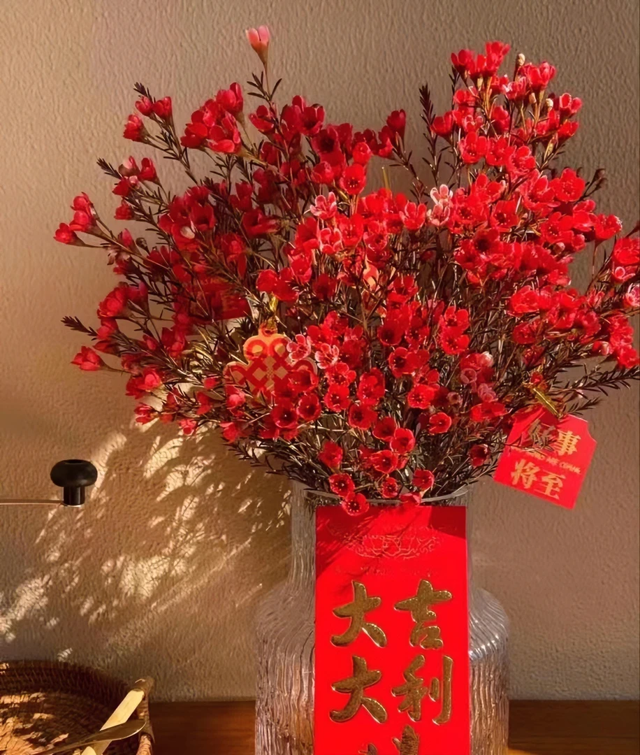 【花起点专属-腊梅】会跳舞的小精灵  【年宵花】超长待机