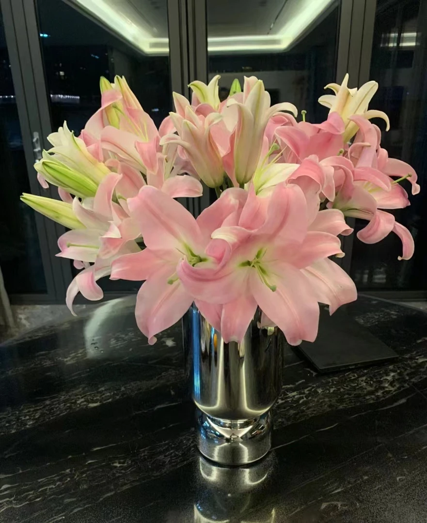 【精选A级】多头星光--单瓣百合 香味好闻 【颜色以收到养开为准】