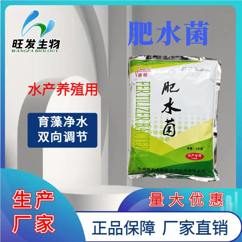 【源头工厂】肥水菌水产养殖专用