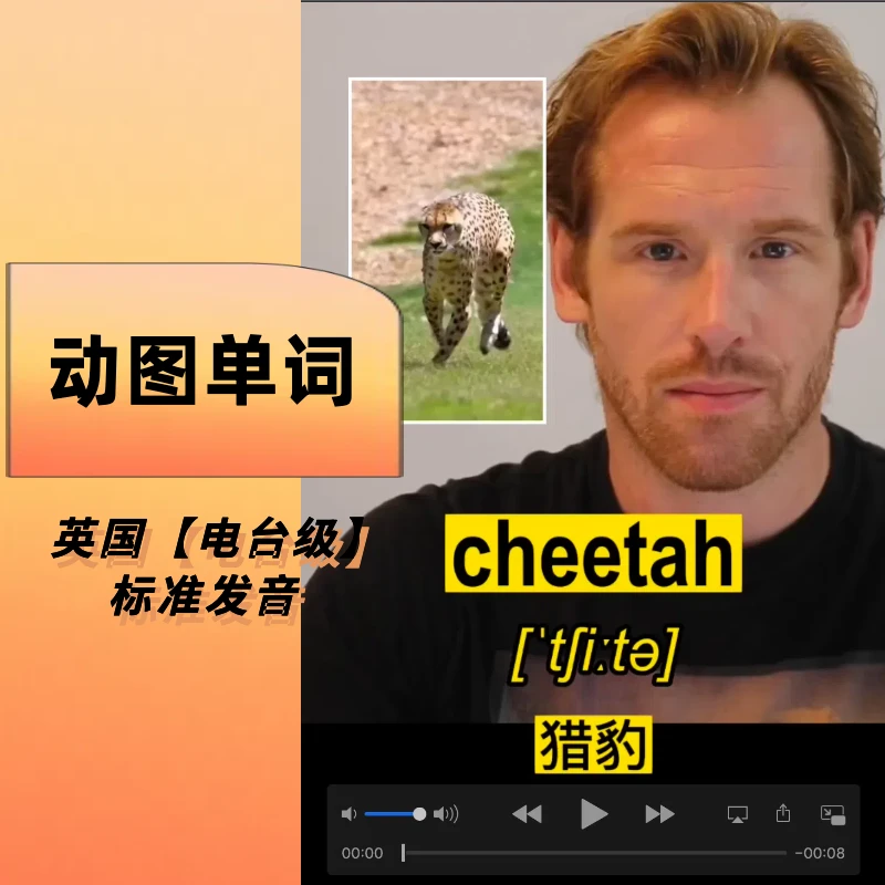 【5号动图单词】带动画的英语单词视频课，外教带读