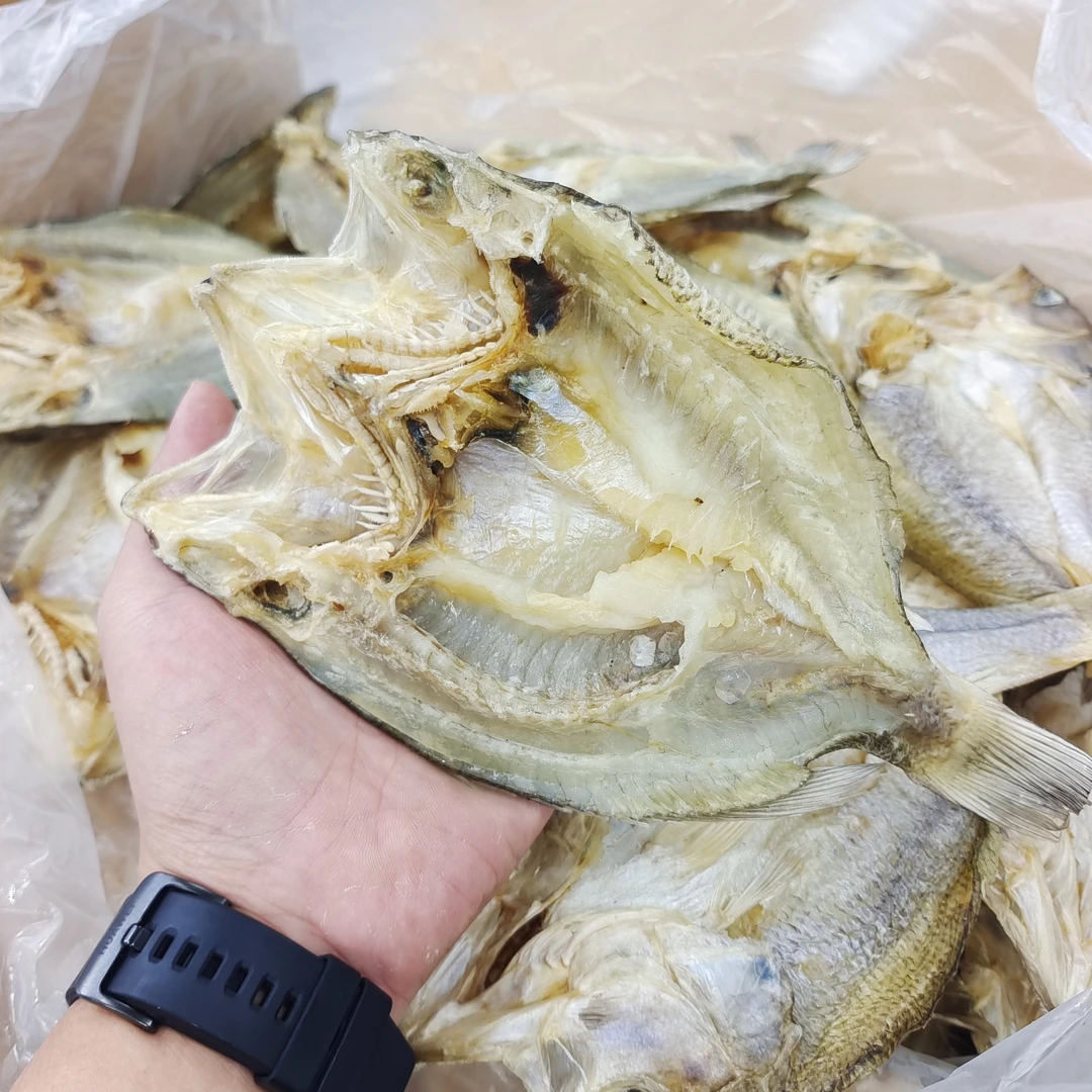 开背鲈鱼干2-3条斤广东茂名博贺港发货顺丰包邮