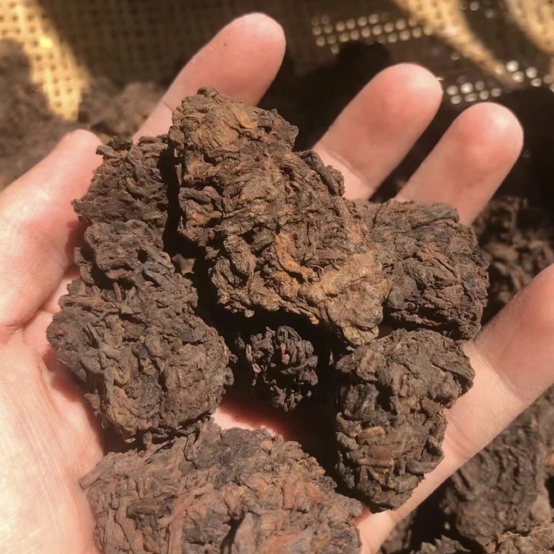 冰岛老寨83号 2018/19年熟普老茶头