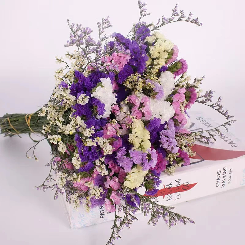 云南真花干花花束勿忘我鲜花生日风干满天星DIY插花花材全套