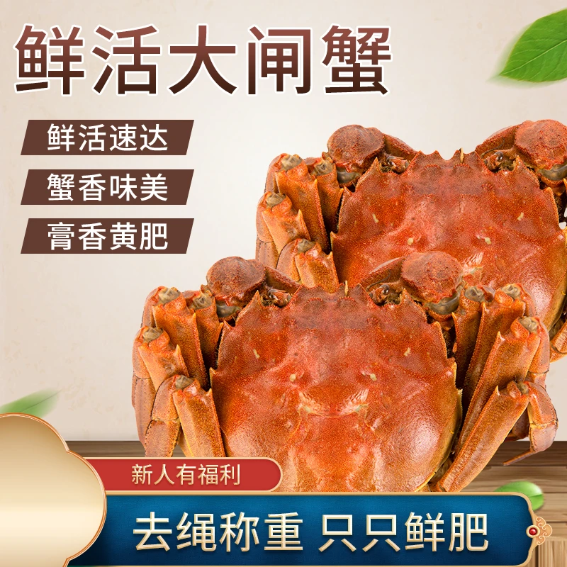 【活蟹】鲜活大闸蟹全母蟹2.1-2.0两*6只去绳净重顺丰冷鲜到手包活