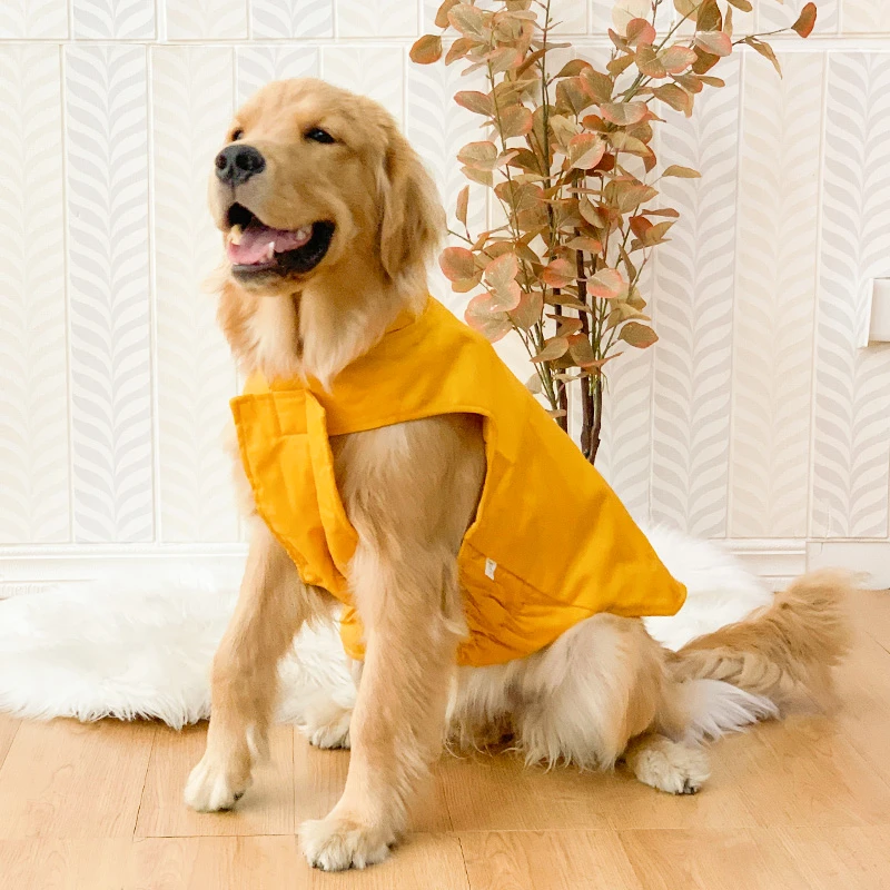 金毛棉服背心加厚保暖棉衣拉布拉多中型犬大型犬大狗狗衣服秋冬装