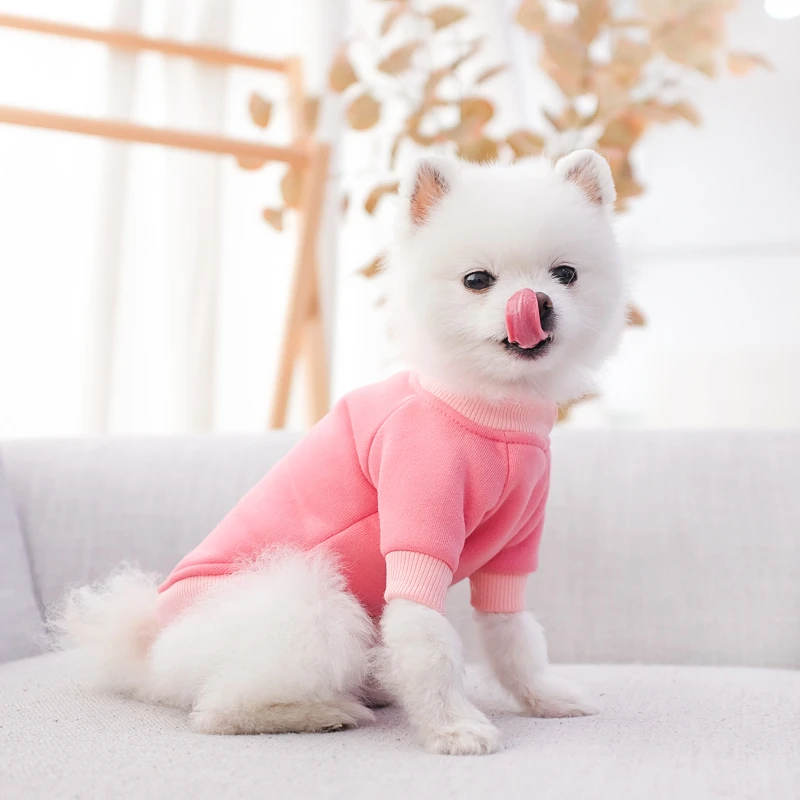 断码清仓狗狗衣服春秋夏季薄款泰迪博美比熊小型犬猫咪宠物秋冬装