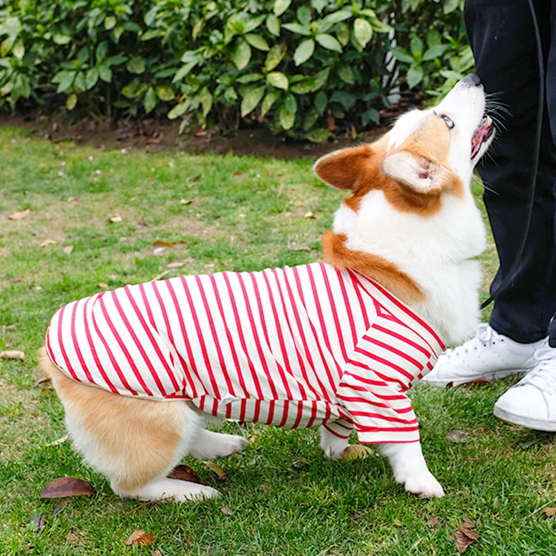柯基衣服薄款小狗狗夏季透气柴犬腊肠夏天可爱中型犬幼犬宠物夏装