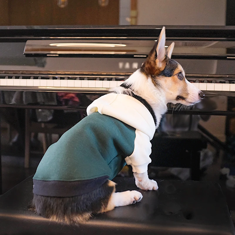柯基专用衣服秋冬装小狗狗小型犬中型犬冬天宠物秋季网红潮流卫衣