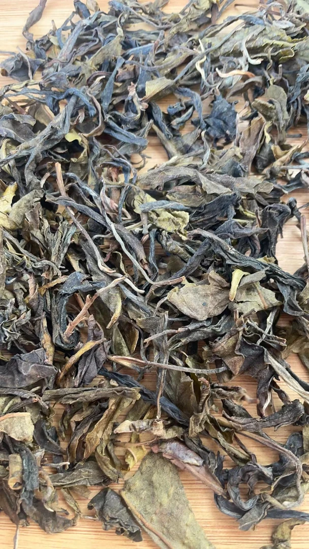 云南普洱茶景迈古树黄金叶