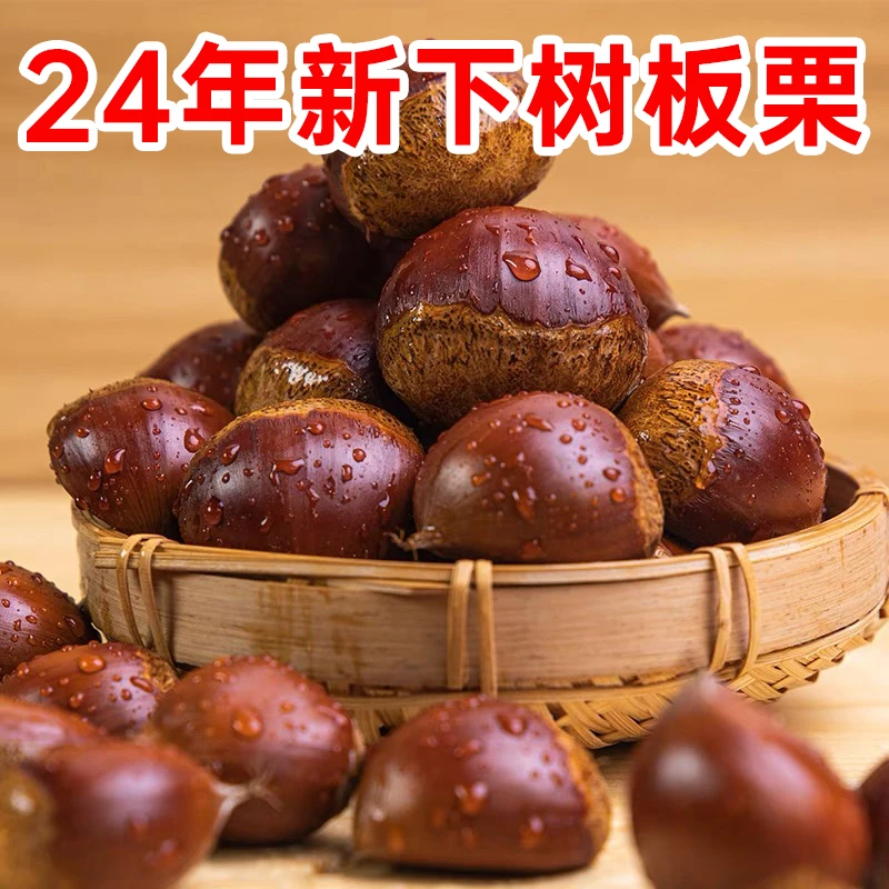 丹东板栗5斤现摘新鲜生栗子高山大板栗好吃的菜板栗非迁西油栗