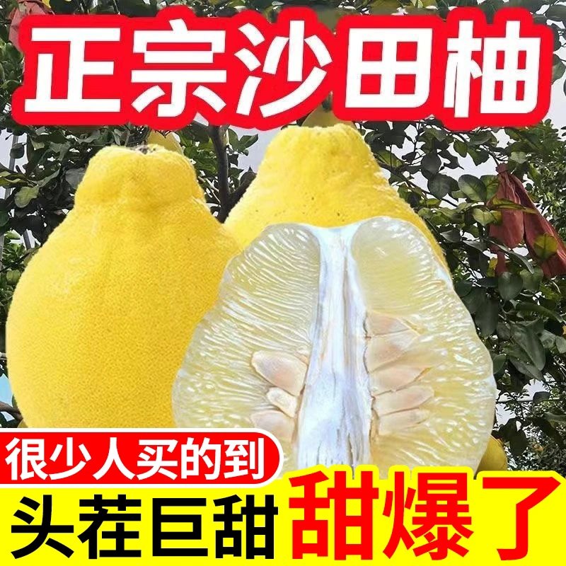 纯甜无酸】正宗白心沙田柚新鲜柚子护国沙田柚大果非容县