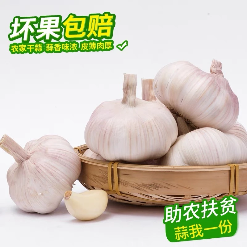 【亏米降价】山东新干蒜大蒜头1斤3斤紫皮大蒜头蒜瓣农家挑选优质