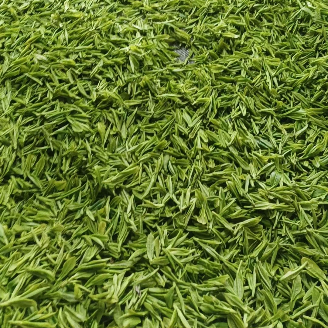 2024原产地高山明前茶500g