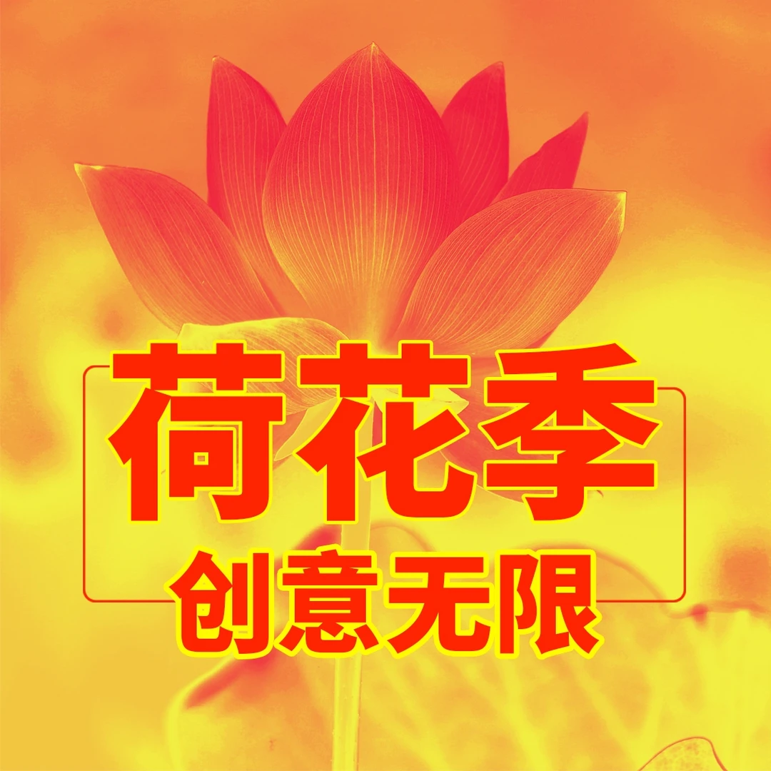 荷花季-后期创意无限