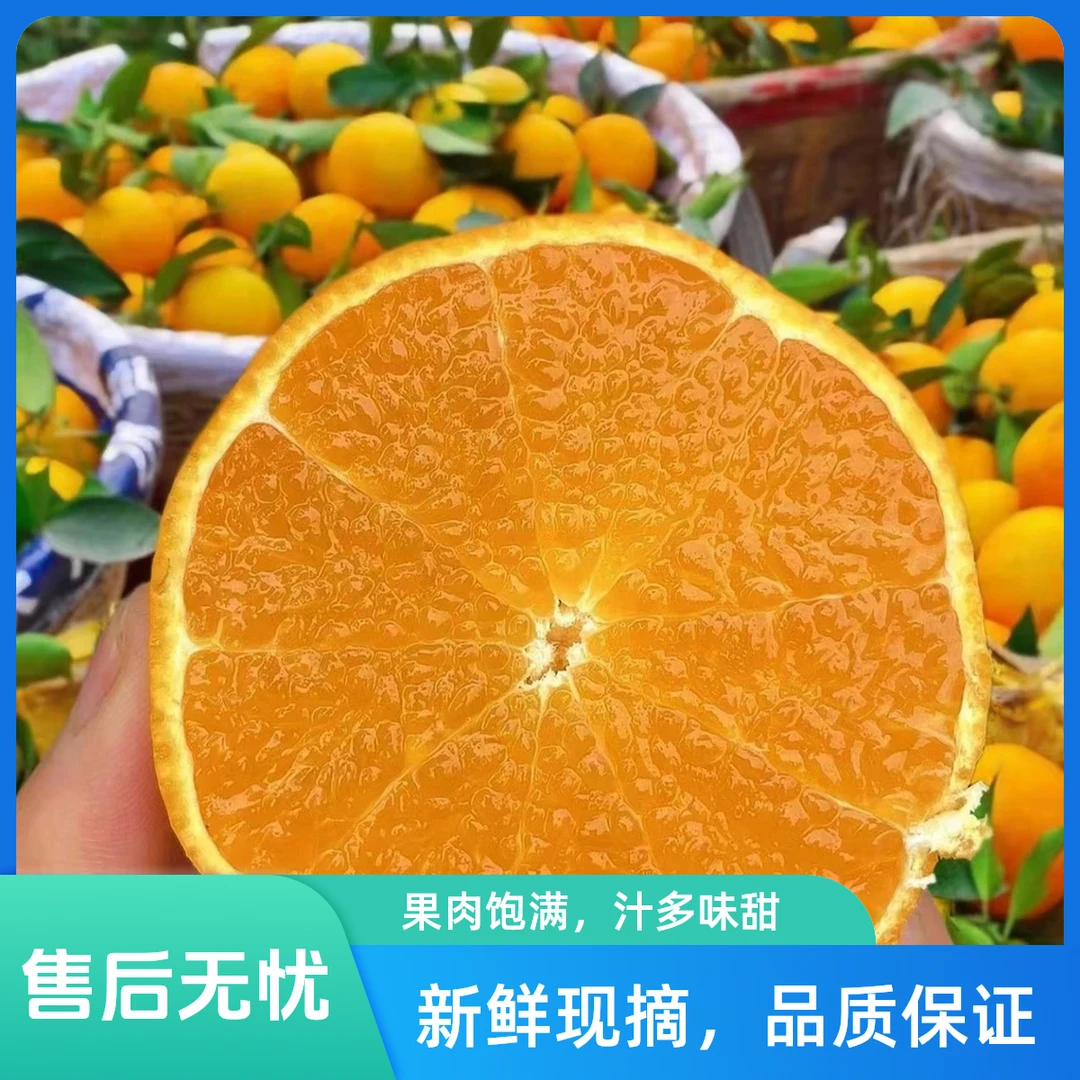 【八斤装】正宗四川眉山爱媛38号果冻橙头茬现摘现发新鲜多汁好吃