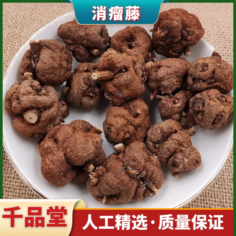 精品野生新货消瘤藤消瘤子正品农产品干货散装叶菜250g-500g包邮