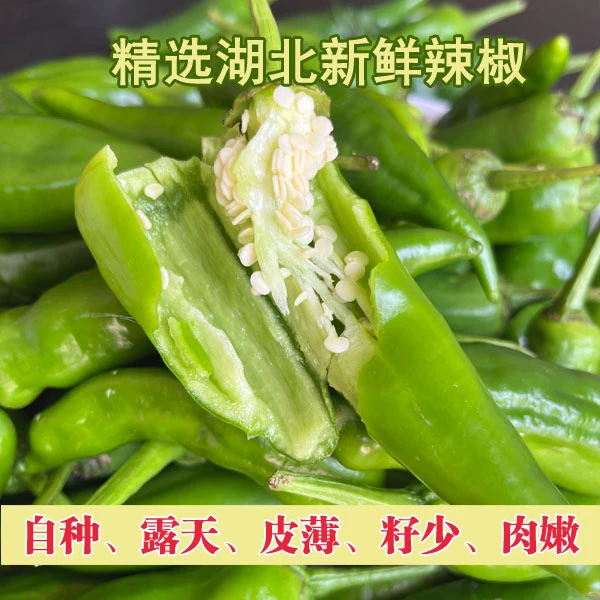 【新鲜现摘】湖北薄皮青辣椒新鲜现摘农家自种自吃微辣露天种植青椒