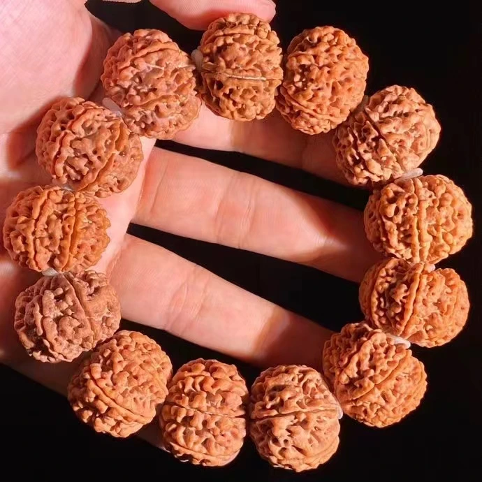 金刚菩提免费送品相尺寸随机发货