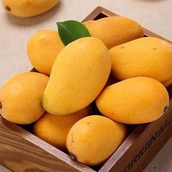 『海南』小台农芒果（4.5斤）（香甜多汁）（新鲜当季）