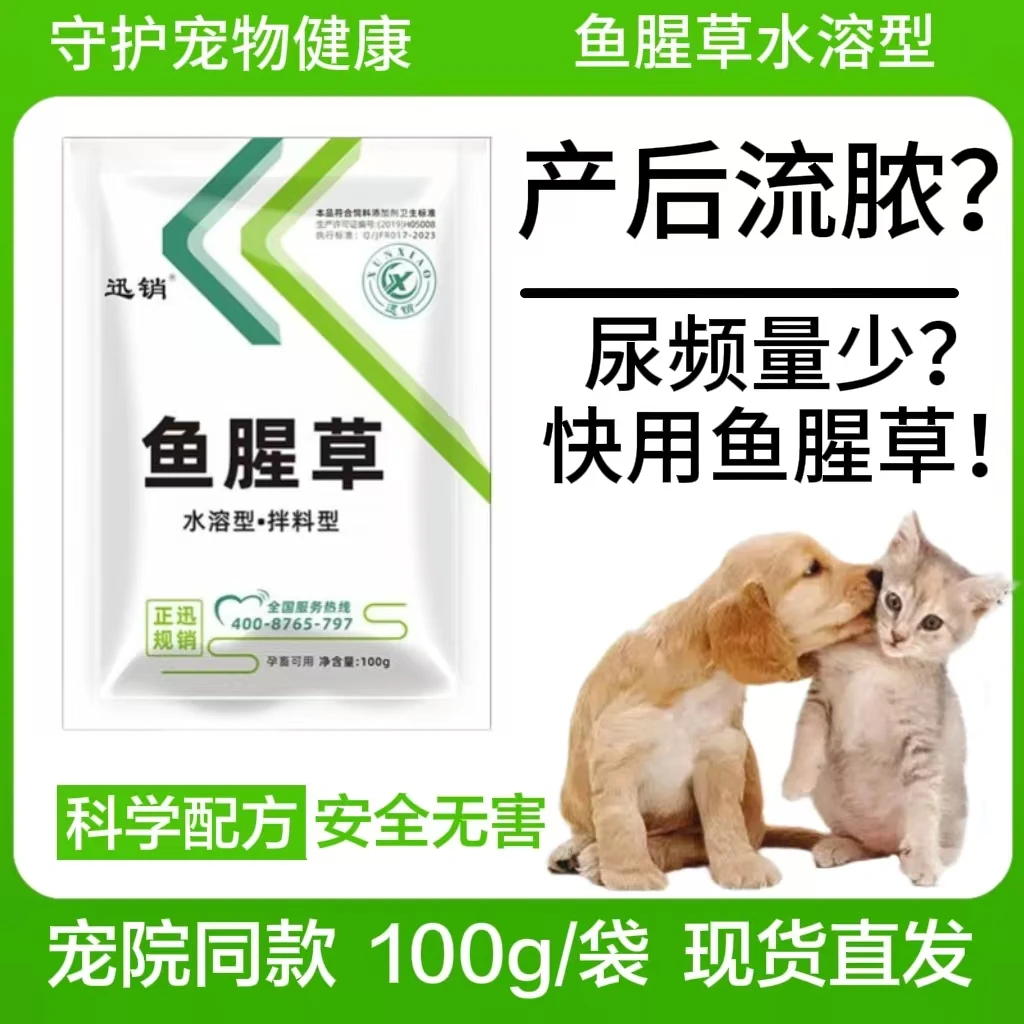 鱼腥草猫咪狗狗产后消炎流脓尿频尿血排毒乳房红肿发炎膀胱炎宠物