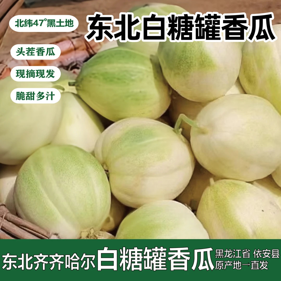 黑龙江齐齐哈尔香瓜 3/5斤新开园头茬 产地现摘现发 香甜鲜而多汁