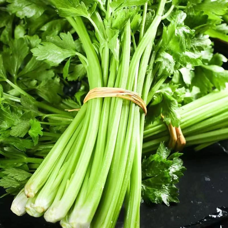 芹菜新鲜嫩芯清脆可口现拔现发农家自种带叶西芹大芹菜新鲜蔬菜