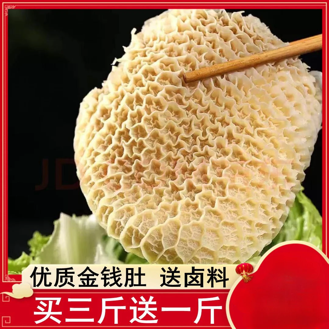 新鲜金钱肚蜂窝肚半成品非全熟金钱肚牛肚子火锅食材新鲜牛肚批发