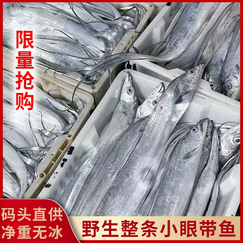 【特大条】带鱼整条新鲜特大号刀鱼无冰衣深海小眼好带鱼海鲜批发
