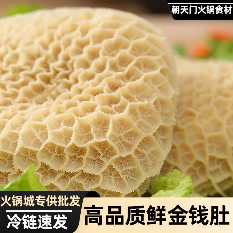 【今日推荐】金钱肚黄牛肚新鲜毛肚冷冻蜂窝肚牛肚卤菜烧烤食材营养