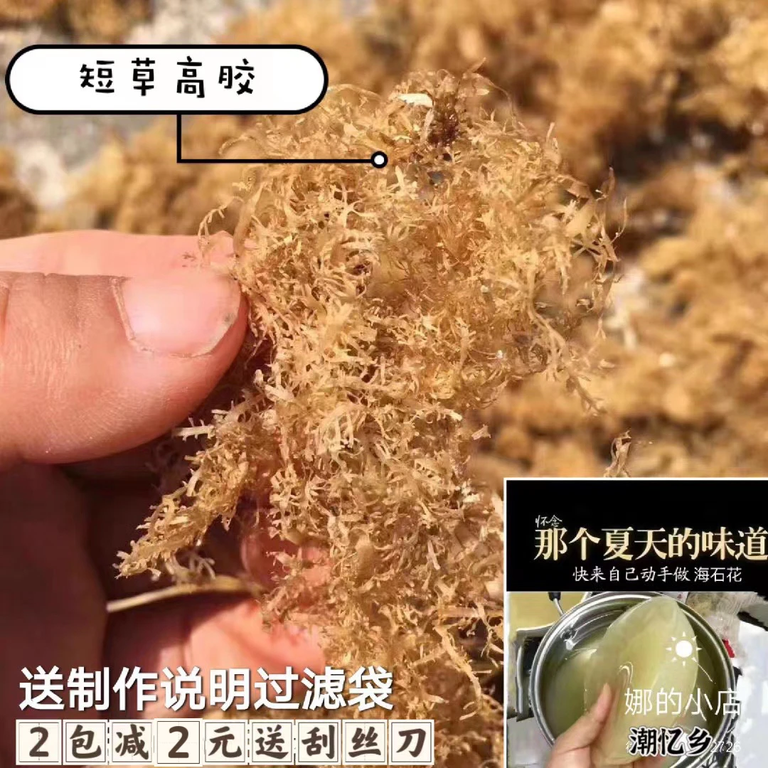 潮汕短草高胶海石花草干货岩衣胶海凉粉四果汤洋菜膏农产品50g