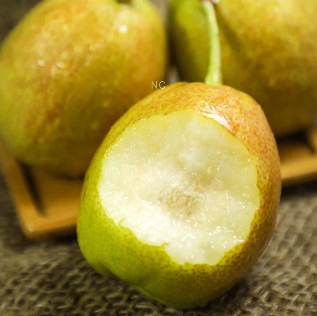 精品库尔勒香梨1斤