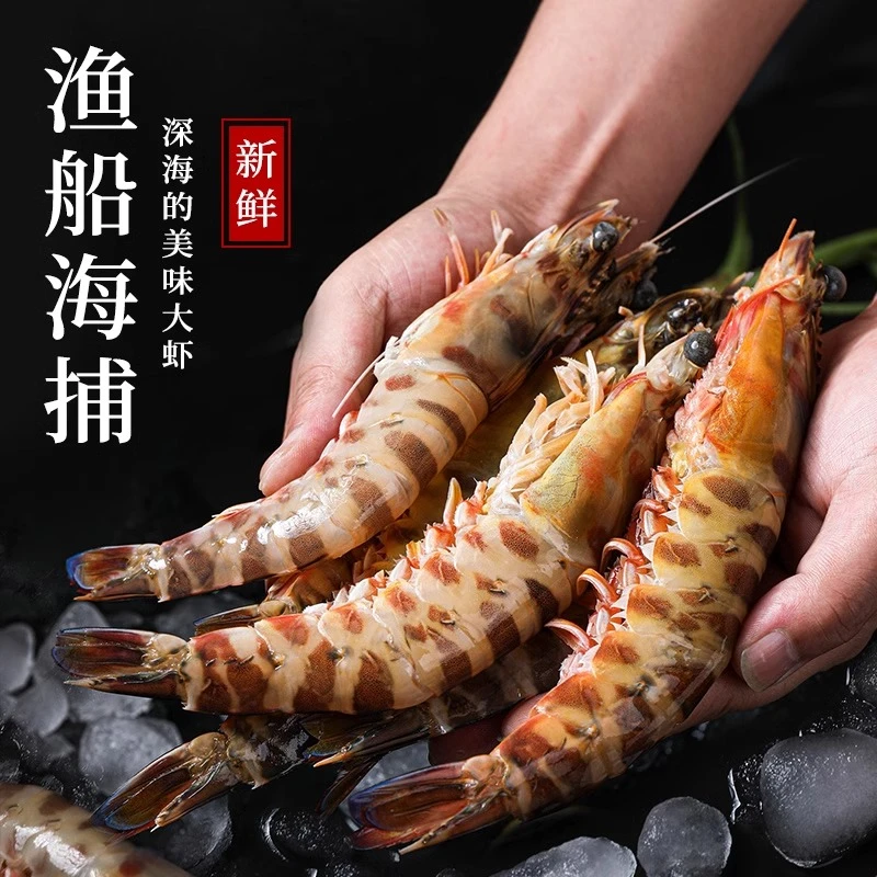 【礼盒装】舟山深海竹节虾5-6只特大虾鲜冻九节虾斑节海虾 250g/盒