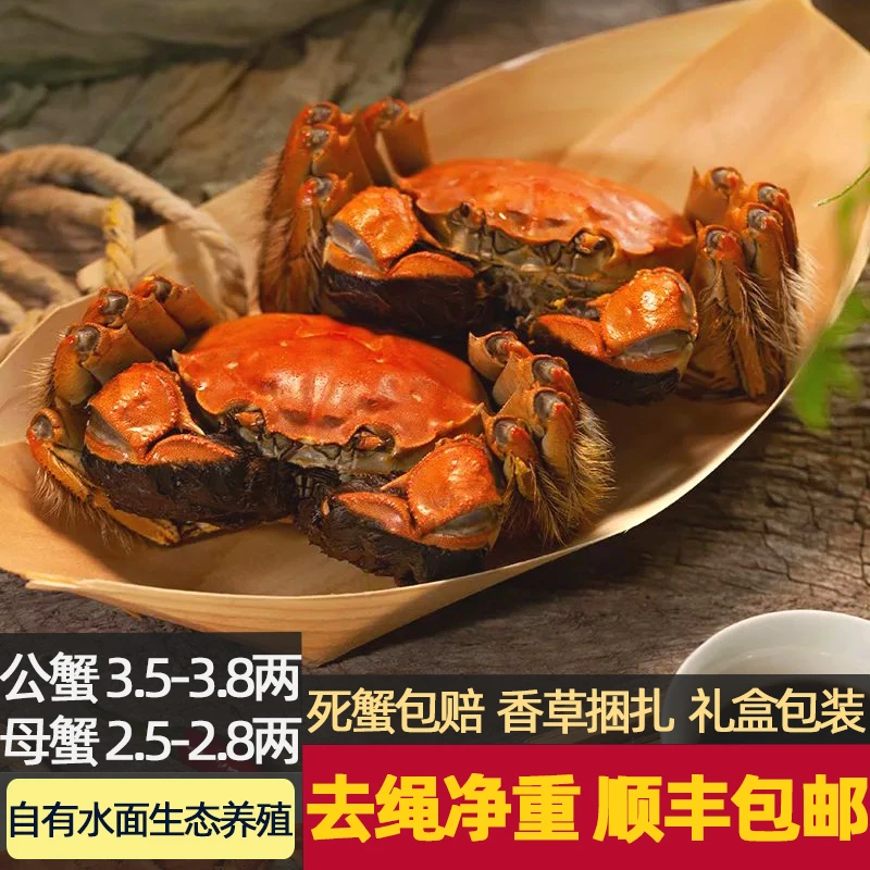 【活蟹】公母鲜活大闸蟹公3.5-3.8两母2.5-2.8两8-10只固城湖大螃蟹