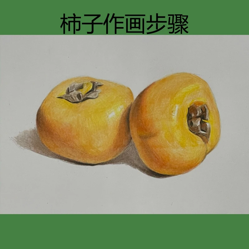 彩铅柿子单个静物刻画