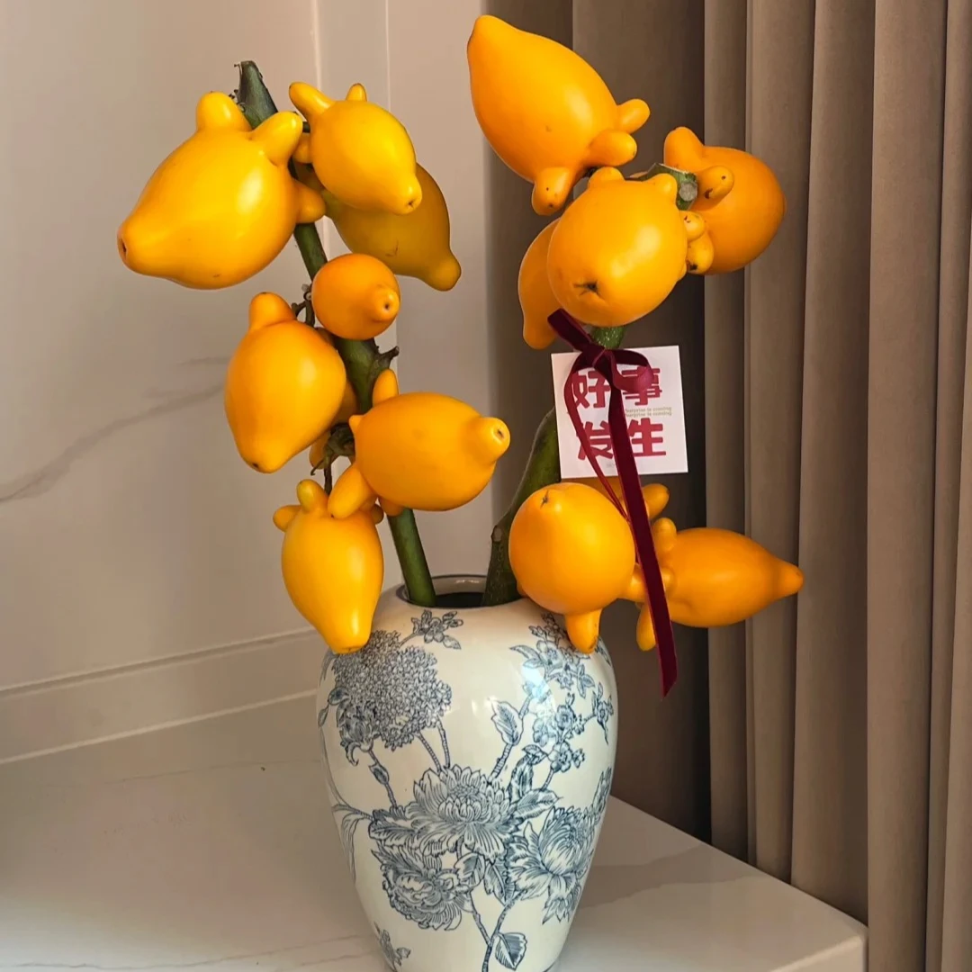 【源头优选】五代果--任意2单鲜花包邮 发货后不支持退款