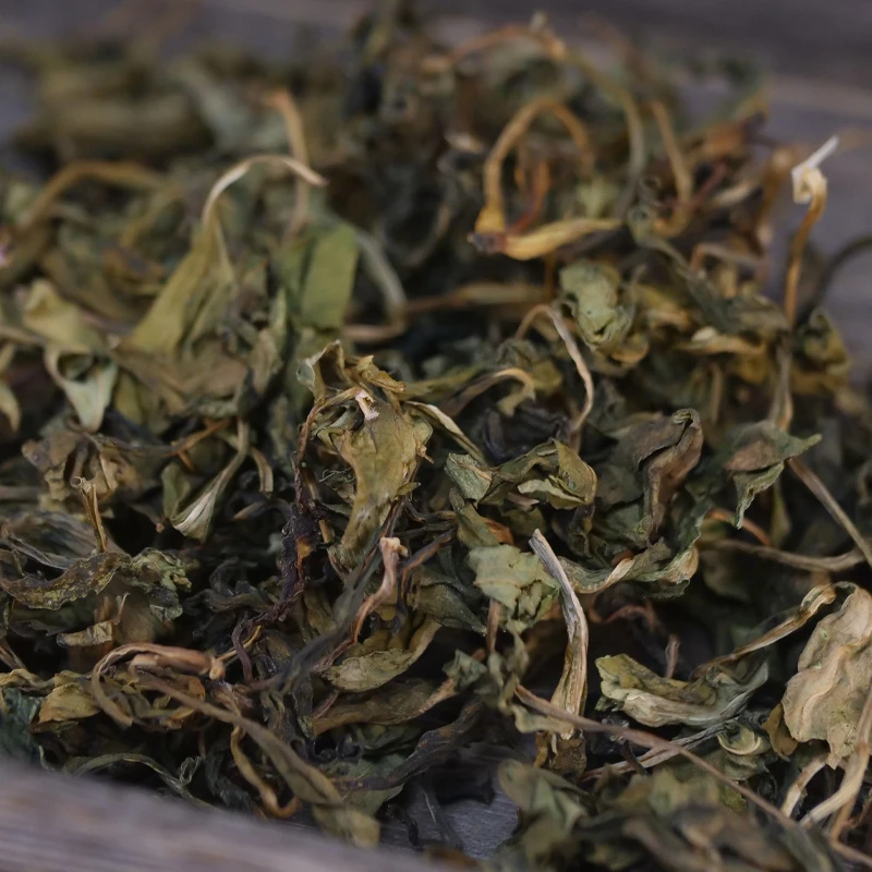 福建苦菜苦斋菜新鲜500g