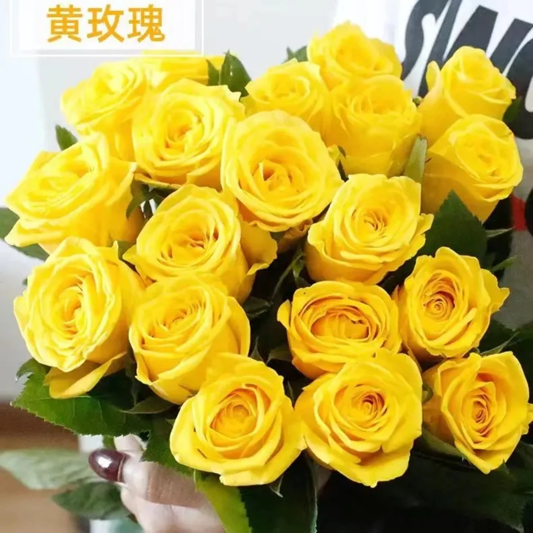 E47康乃馨  玫瑰随机组合！对准编号下单！