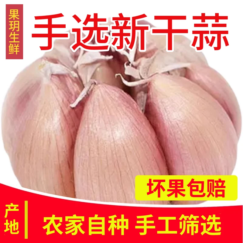 河南农家大蒜紫皮蒜干大蒜5斤新干蒜9斤可腌腊八蒜3斤1斤蔬菜批发