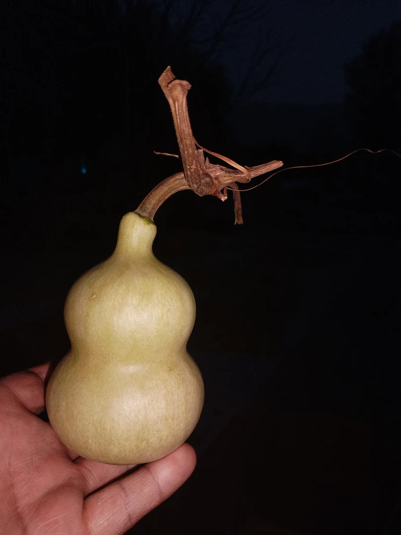 小八宝葫芦，高8公分