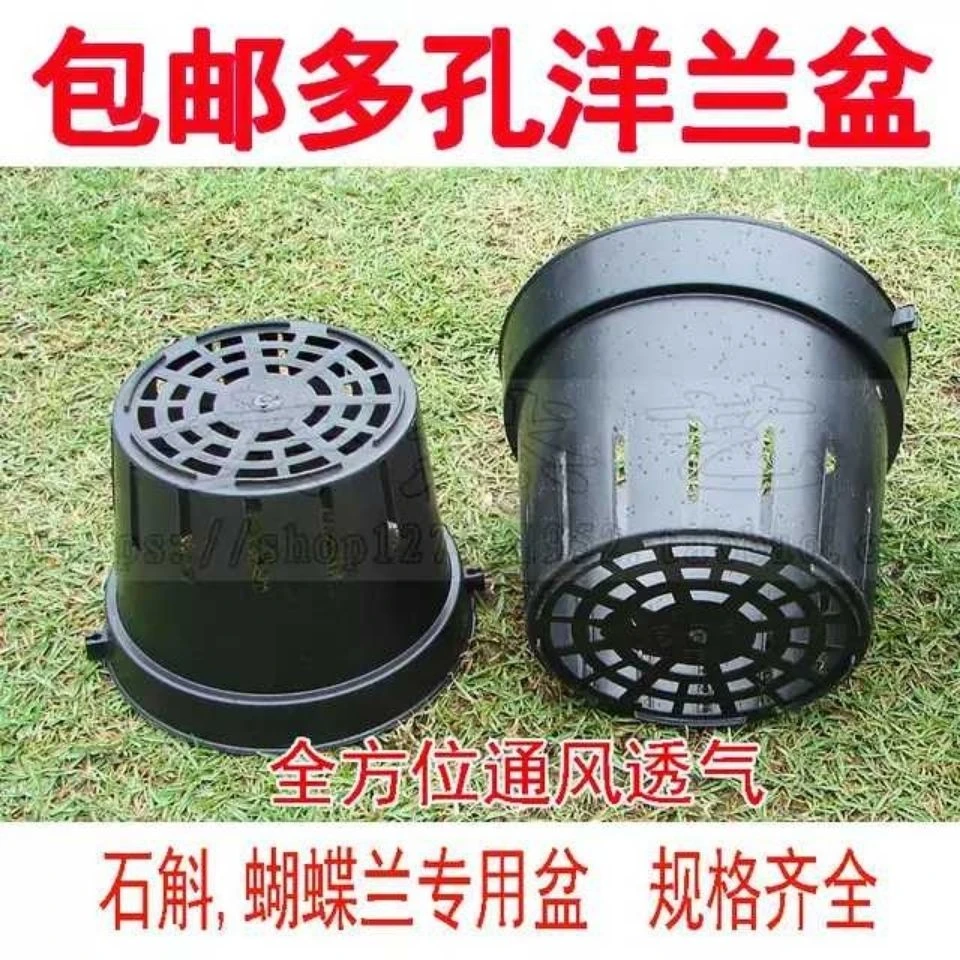 洋兰盆塑料气生石斛苗盆栽蝴蝶兰多孔花盆代替蛇木板壁挂透气植篮